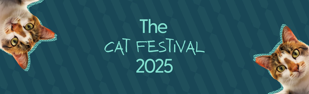 Cat Festival 2025