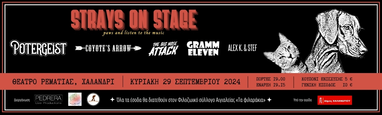 Strays on Stage / Φιλοζωικός Αιγιαλείας