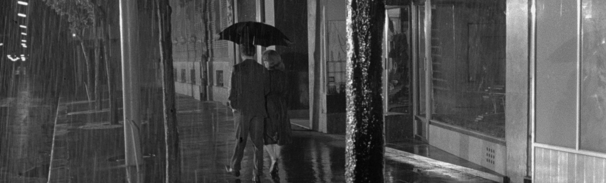 TIFF63 - And Love Has Vanished