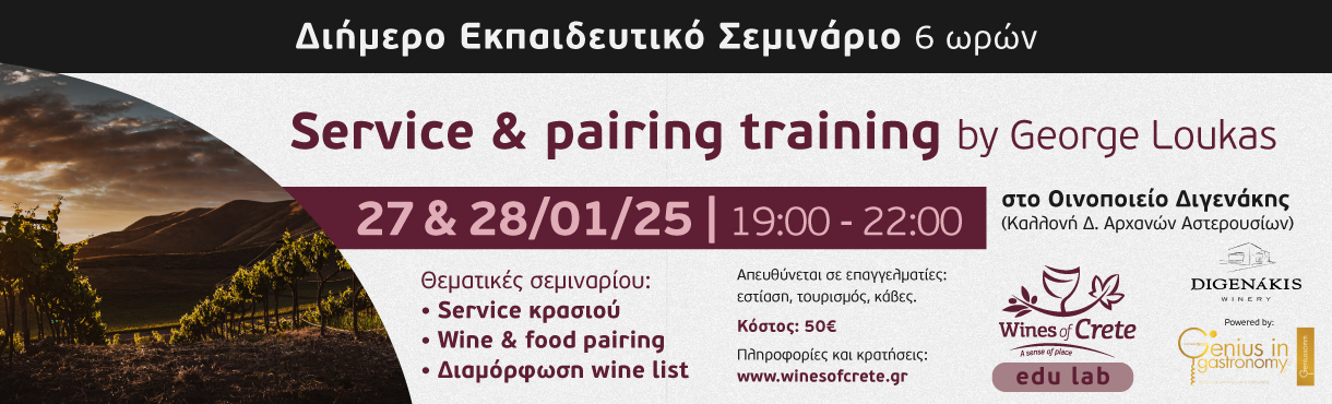 Διήμερο σεμινάριο: Service & pairing training